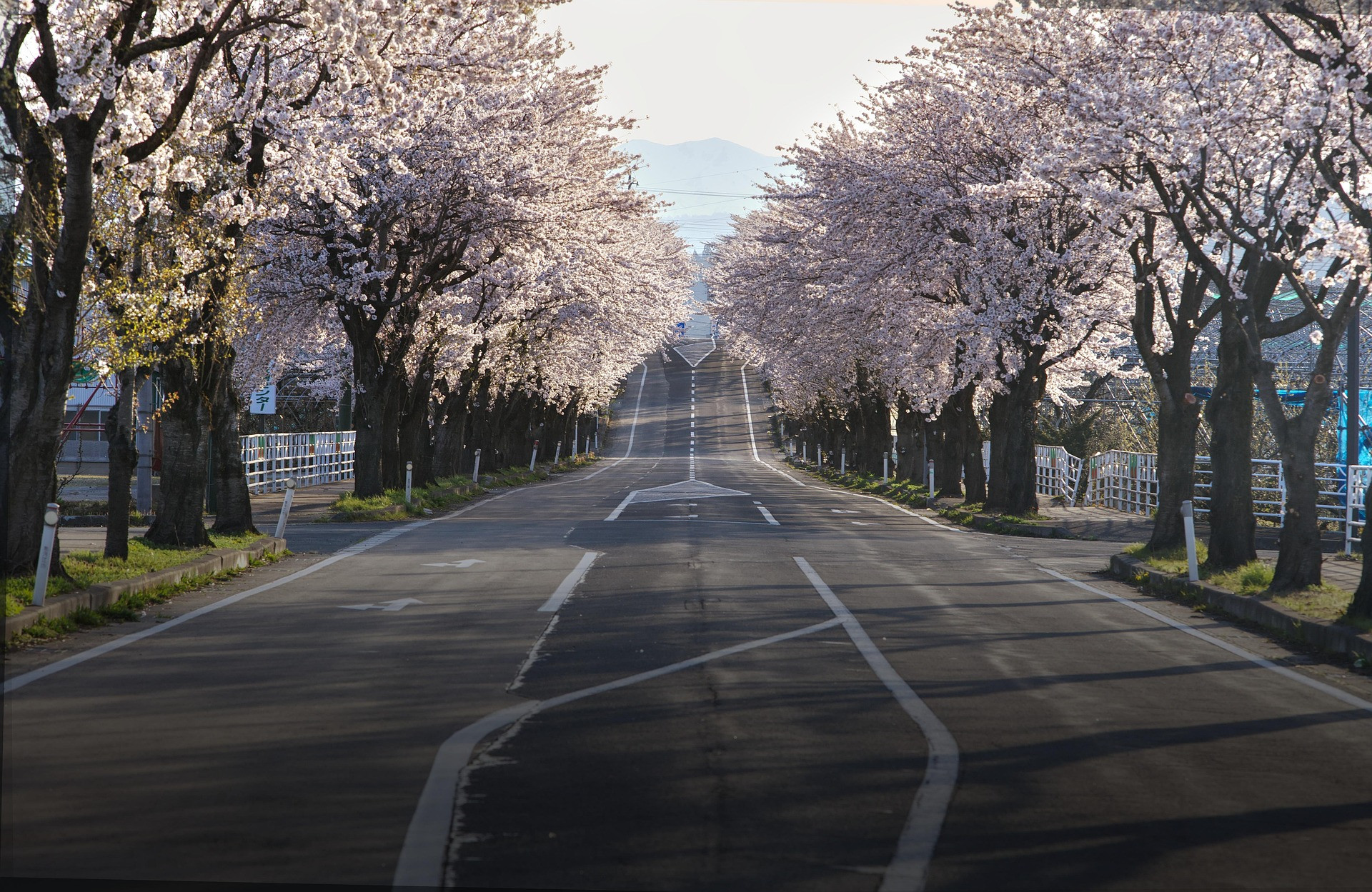 pixabay Rundreise Japan