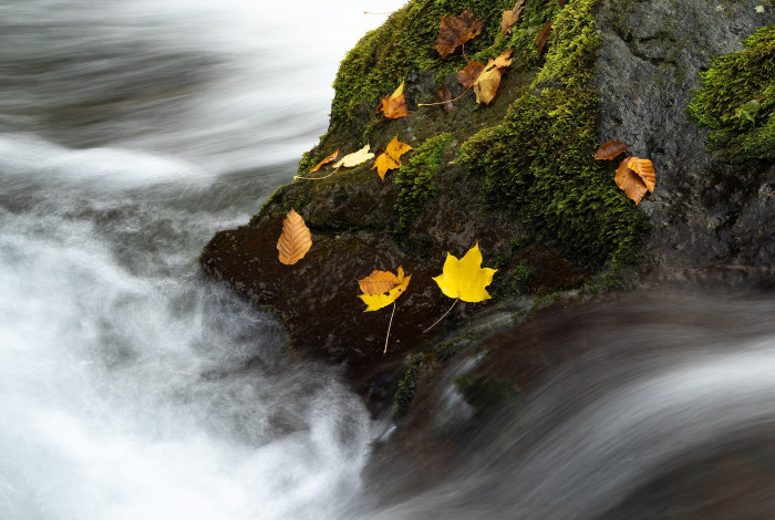 pixabay Kreuzfahrten Region Karibik 19