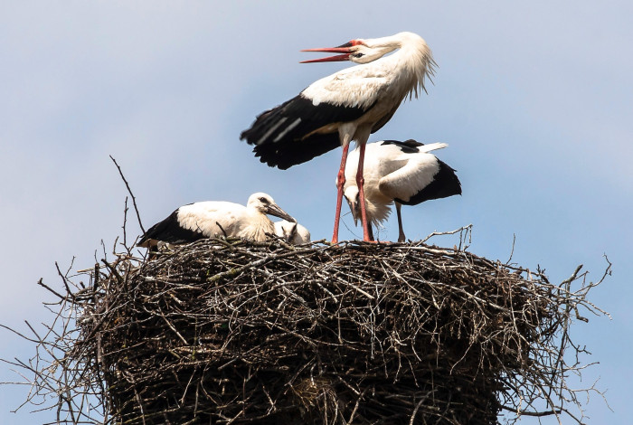 pixabay Mecklenburg-Vorpommern 30
