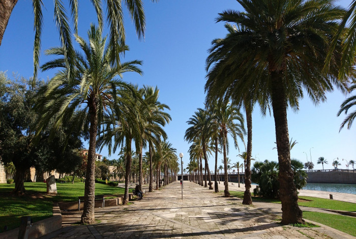 pixabay Palma de Mallorca 26